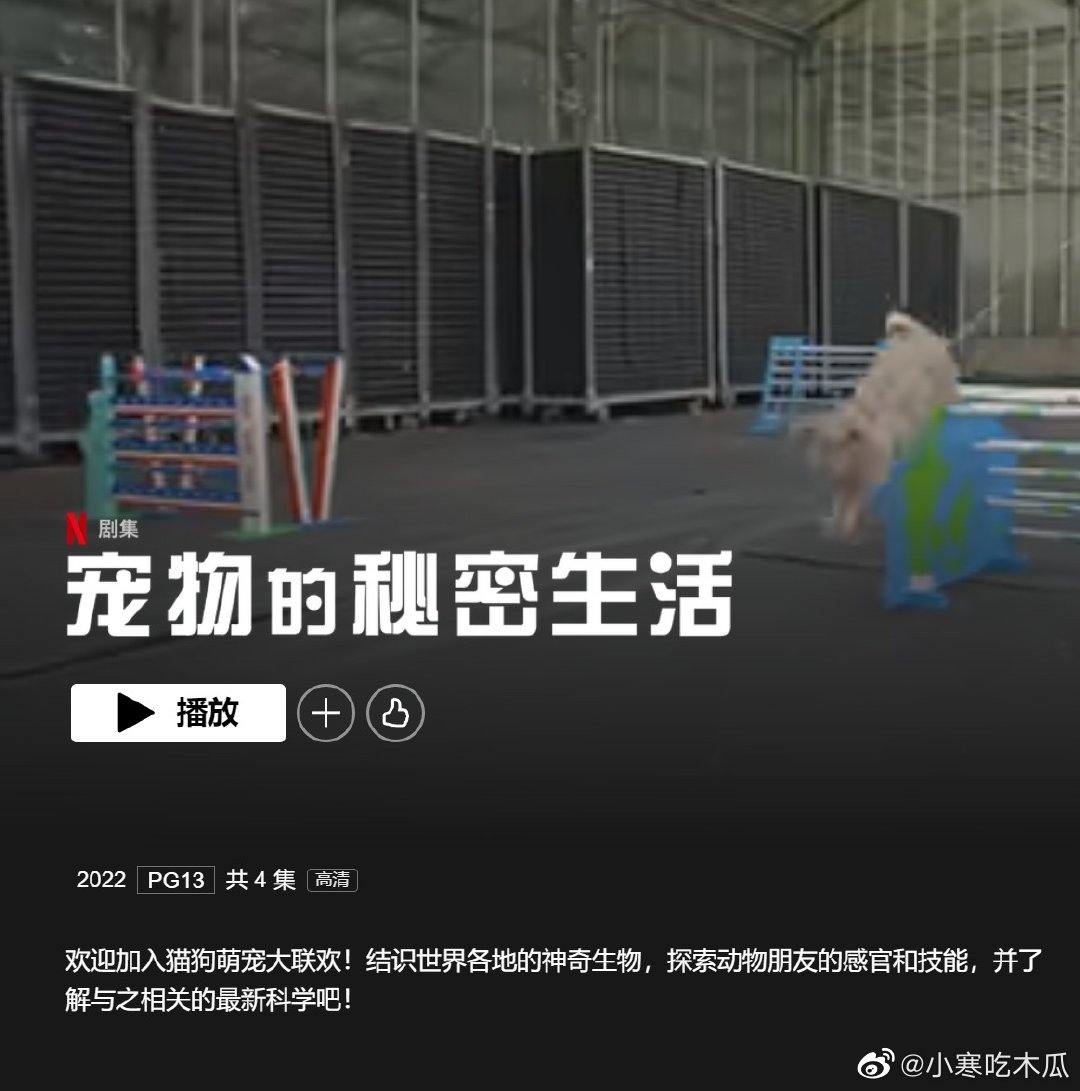牙买加飓风