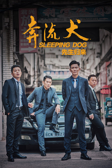 女人中的陌生人1966
