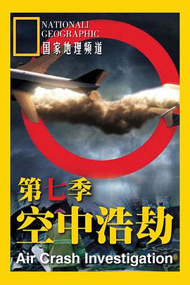 天梯：蔡国强的艺术