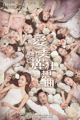 靓丽五人组：德州拉拉队丑闻