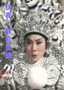 海豚伯尼2
