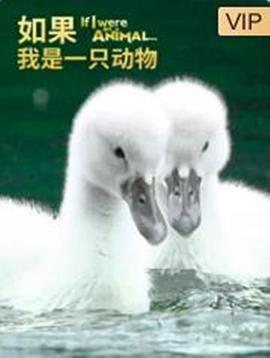 残暴