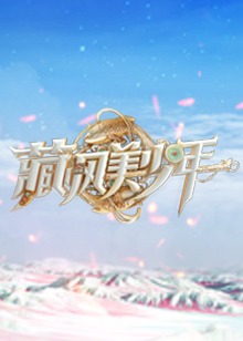阿普正传