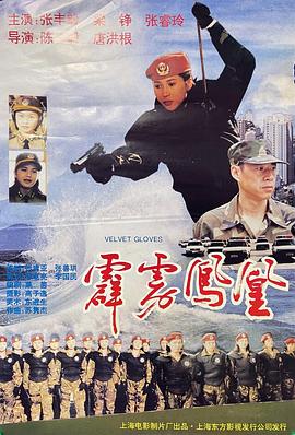 神烦警探第七季