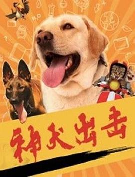跟着书本去旅行 2023