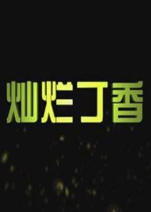女仆日记 2015