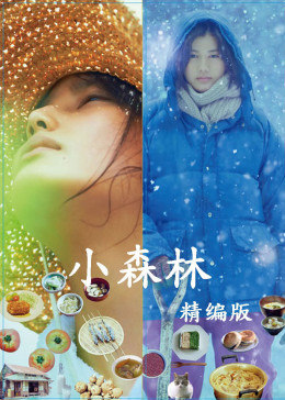 西蒙·阿姆斯特尔：放飞