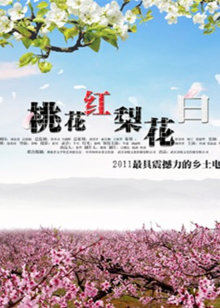 爱的天空