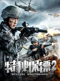 姿态第二季