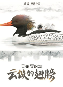 孩子，去哪儿了