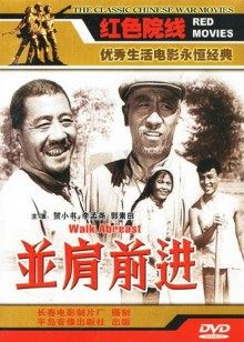 猫头鹰森林