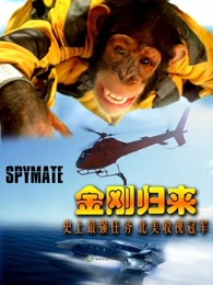 斯特拉顿传奇