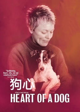 狄仁杰之九龙玄棺