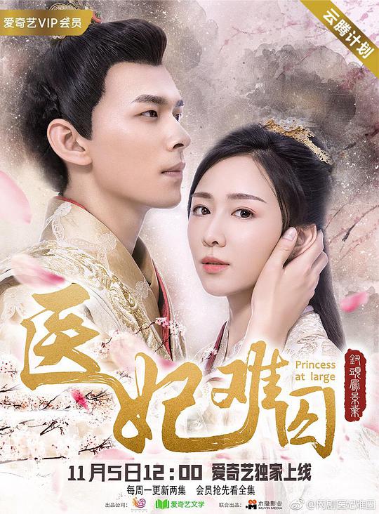 幸福继续：乔纳斯兄弟巡演纪录片