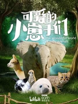 红军与白军