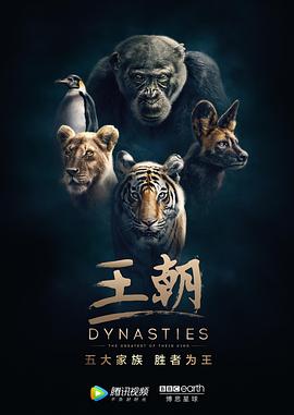 甜蜜的任务 2019