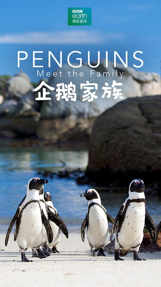 少年包青天2