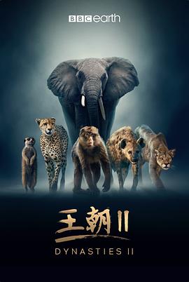 玲珑井
