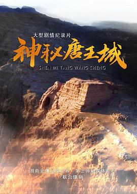 功夫杀手