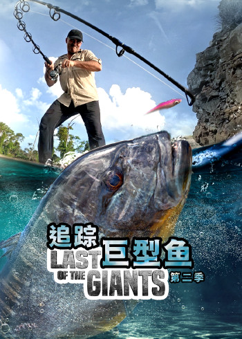 少年之名