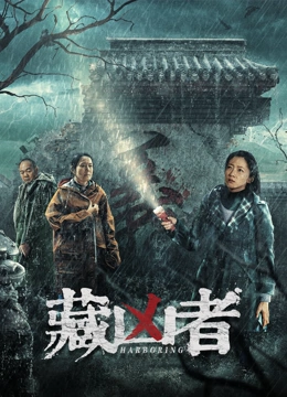 我为喜剧狂 第二季