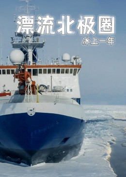 真爱至上