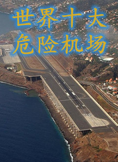 请你杀了我