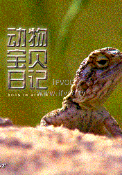 全力以赴