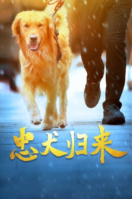 刑事侦缉档案国语