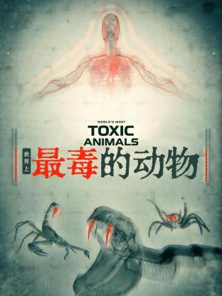 同路阿根廷