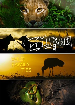只要你说你爱我