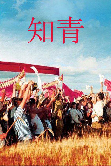 隐婚挚爱