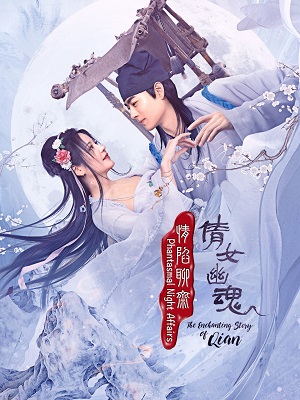 我的美女老板