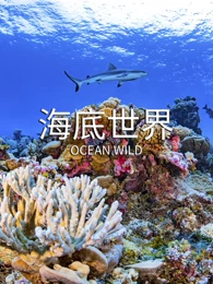追光吧！哥哥