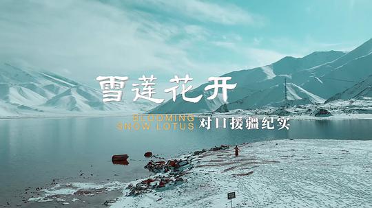 逝者之证第三季