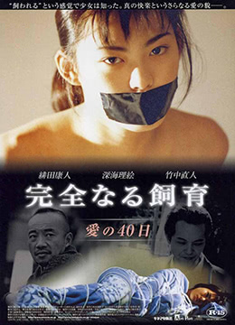 芳踪杳然