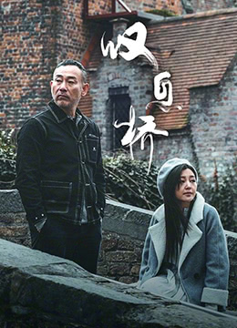 追赶太阳2015