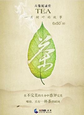 队长阿帕奇