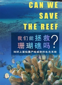 拳击运动员的悲歌