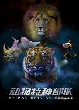 最后之舞