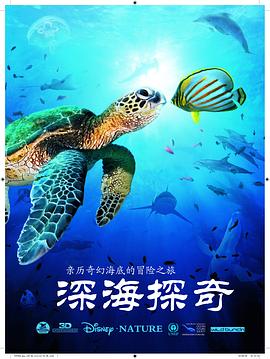 撕裂记忆体