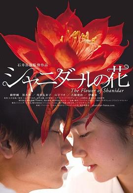 矮婆
