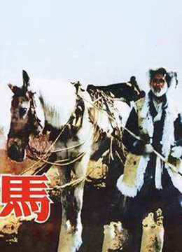 冰火凤 2021