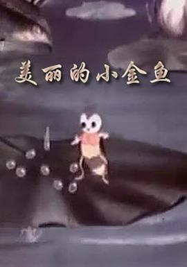 消失的校车