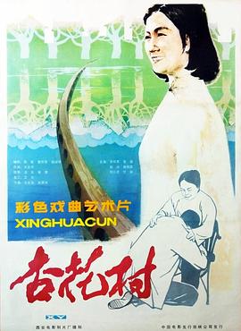 我的漂亮朋友