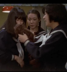 悉尼豪宅第三季