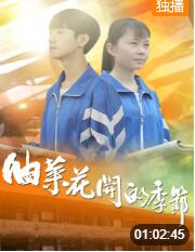 傲骨贤妻  第二季