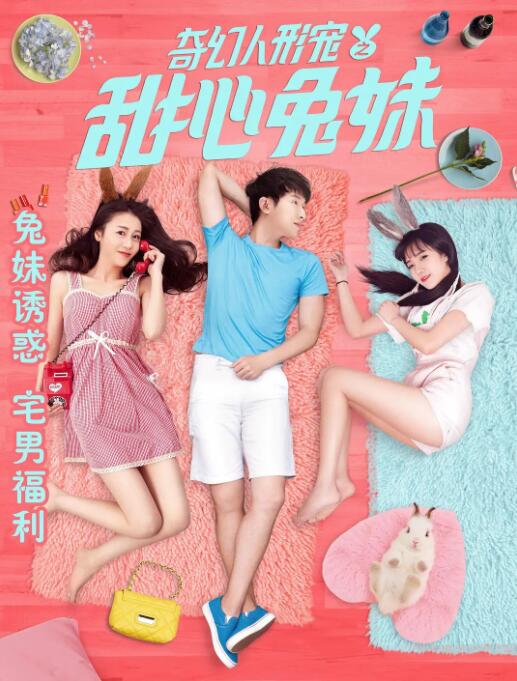 白色情在线观看