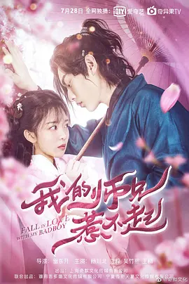 宠物小精灵：冥王龙与冰空的花束雪米