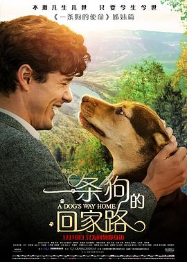 地狱厨房(美版) 第十三季